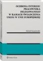 okłakda ebooka - Ochrona interesu pracownika delegowanego
