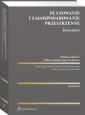 okłakda ebooka - Planowanie i zagospodarowanie przestrzenne.