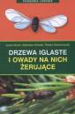 okładka książki - Drzewa iglaste i owady na nich