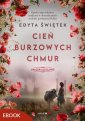 okłakda ebooka - Cień burzowych chmur. Spacer Aleją