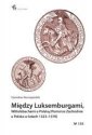 okładka książki - Między Luksemburgami, Wittelsbachami