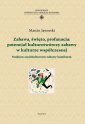 okłakda ebooka - Zabawa, święto, profanacja: potencjał