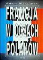 okładka książki - Francja w oczach Polaków