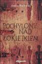 okładka książki - Pochylony nad Łokietkiem. Opowieść