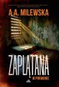 okłakda ebooka - Zaplątana w porwanie