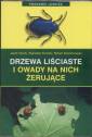 okładka książki - Drzewa liściaste i owady na nich