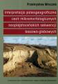 okładka książki - Interpretacja paleogeograficzna